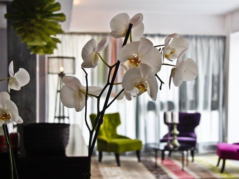 Hotel Feliz Палма де Майорка Екстериор снимка